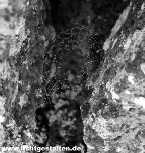 Iceland Thórsmörk Thorsmork Þórsmörk Spider Web 1999