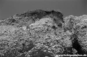 California Sausalito Westcoast USA