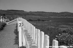 California Sausalito Westcoast USA Fence