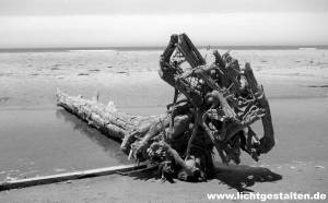 Westcoast USA California Beach