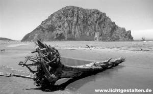 Westcoast USA California Beach