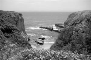 Westcoast USA California Beach