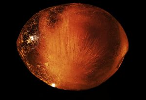 Ice Marble made with food colors and water in a balloon in the freezer.